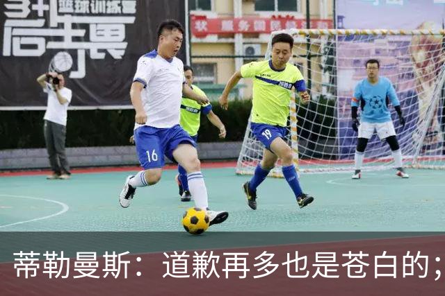 蒂勒曼斯：道歉再多也是苍白的；我们几乎所有环节都脱节了